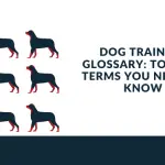 dog training terms and glossary