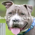 top pitbull dog blogs
