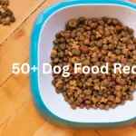 50+ dog treat recipes you will love