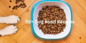 50+ dog treat recipes you will love